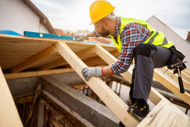 Best Roof Restoration Services  in Meadow Les, AK