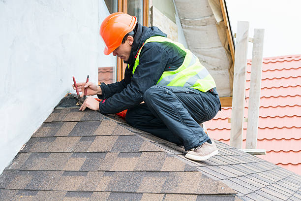 Best Roof Leak Repair  in Meadow Les, AK