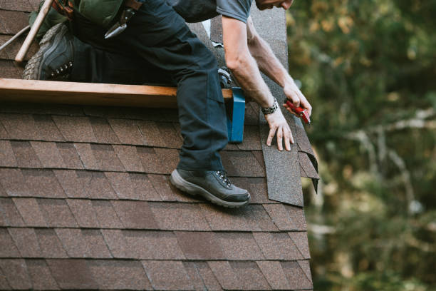 Best New Roof Installation  in Meadow Les, AK